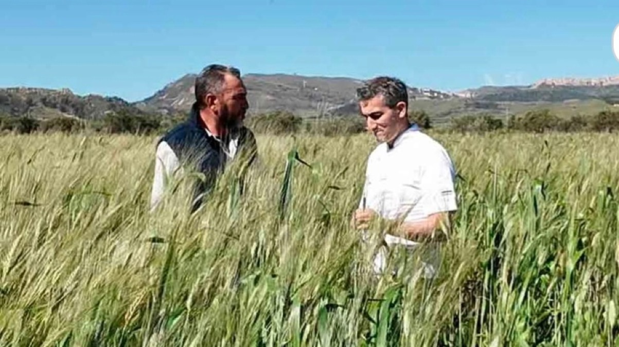 Da giugno il pane come si faceva a Gela 2700 anni fa  - 