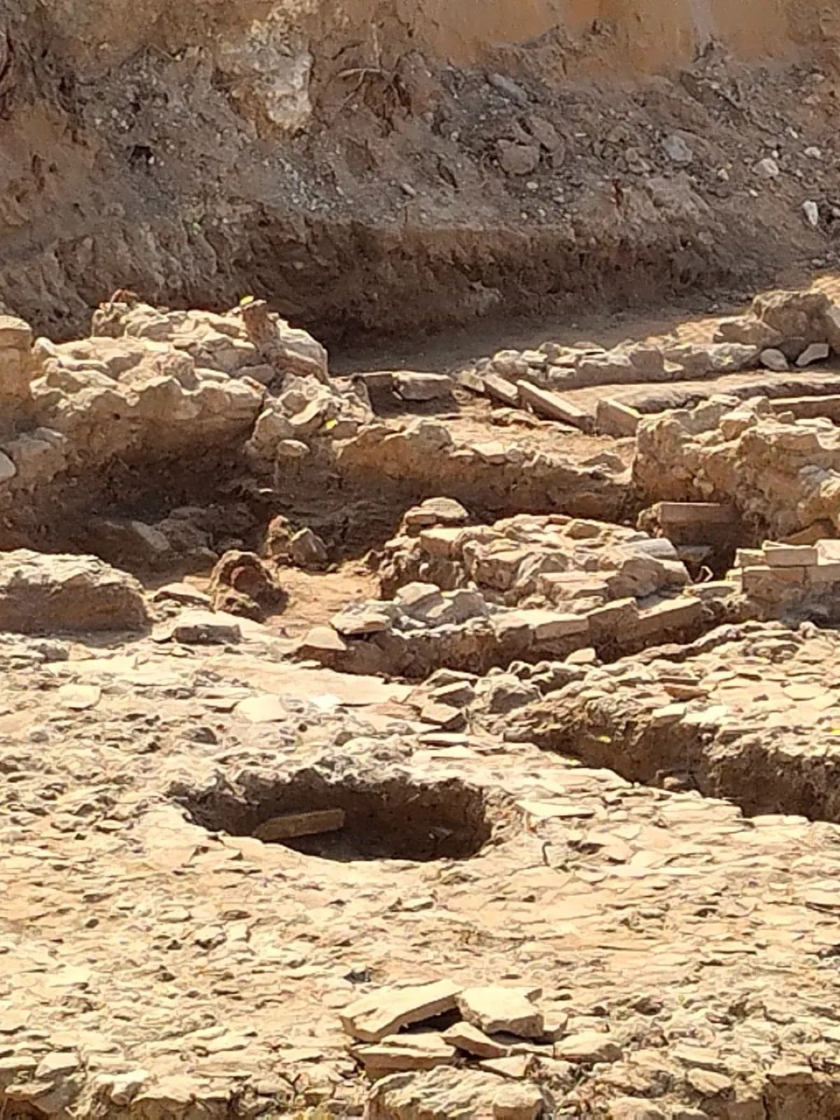 Musei e siti  con ingressi gratuiti per  le feste nazionali 