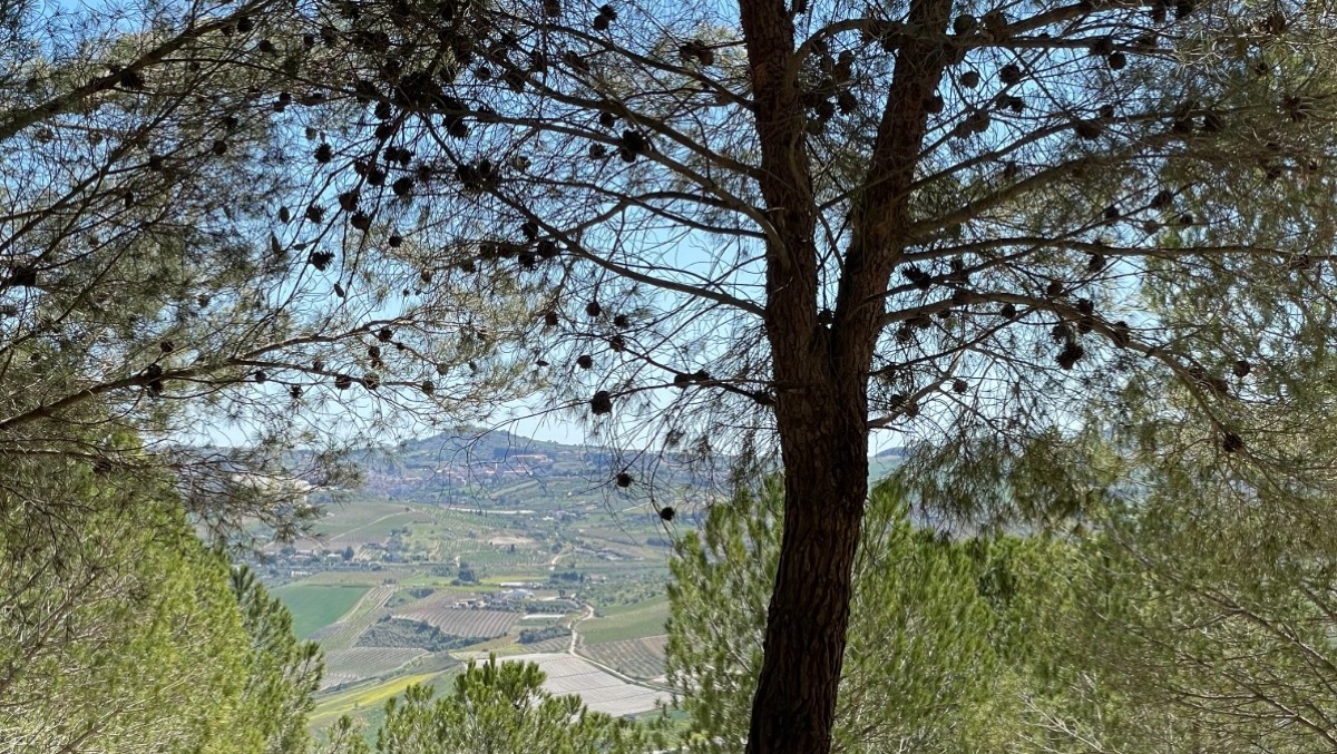 Giornata della Terra - 