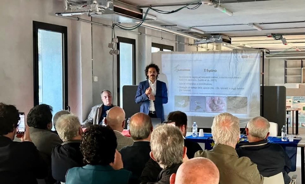 Le dune costiere, un tesoro da tutelare  - 