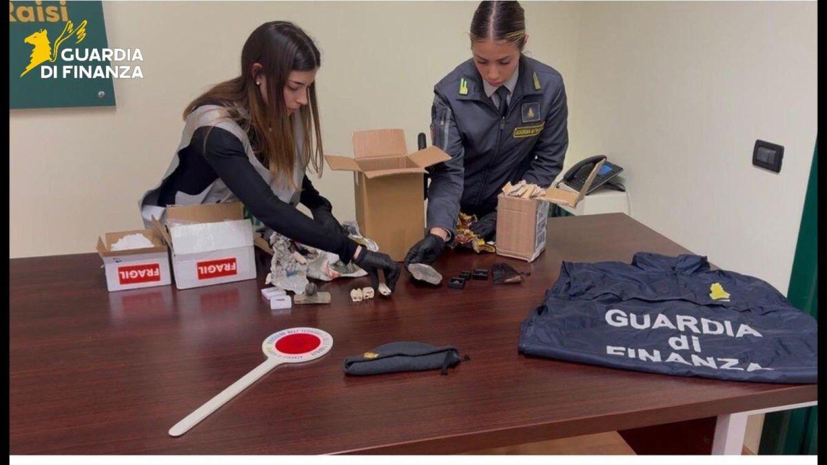 Palermo, sequestrati 17 reperti fossili risalenti a 50 milioni di anni fa - 