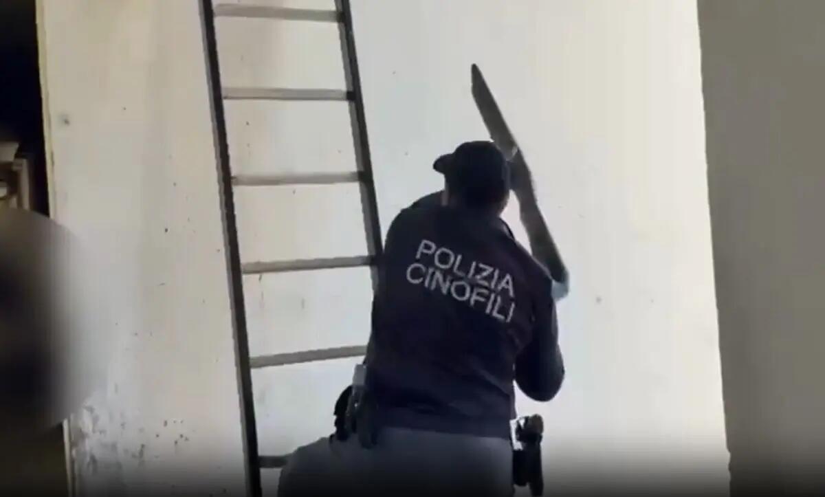 Catania, scoperto nascondiglio di armi e munizioni in un edificio del quartiere Librino / Video - 
