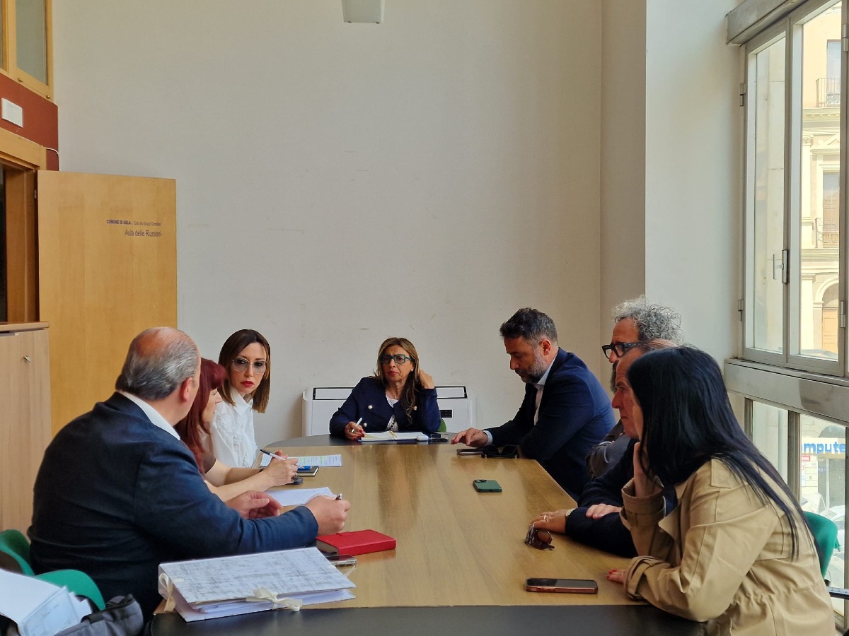 Commissione sanità e deputazione a confronto sulle carenze  - 