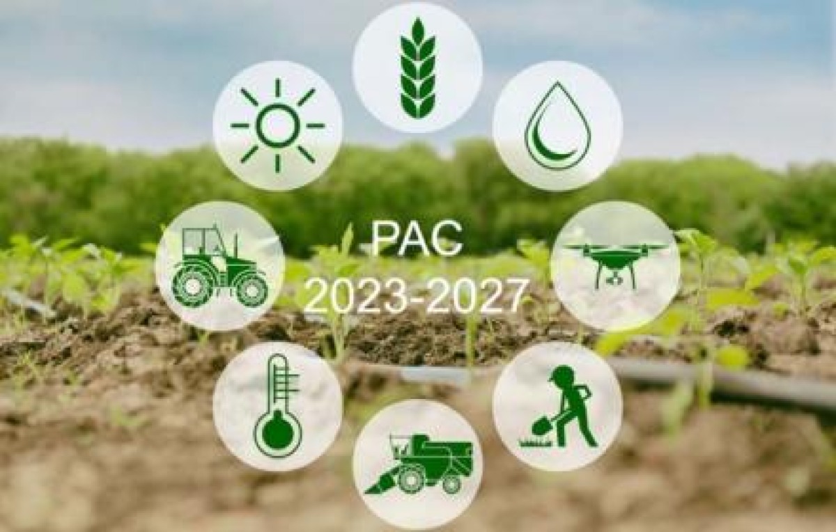 Agricoltura, in Sicilia 142 milioni per i bandi Pac su biologico e indennità compensativa - 