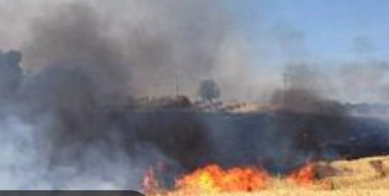 Tornano gli incendi nei campi di grano  - 