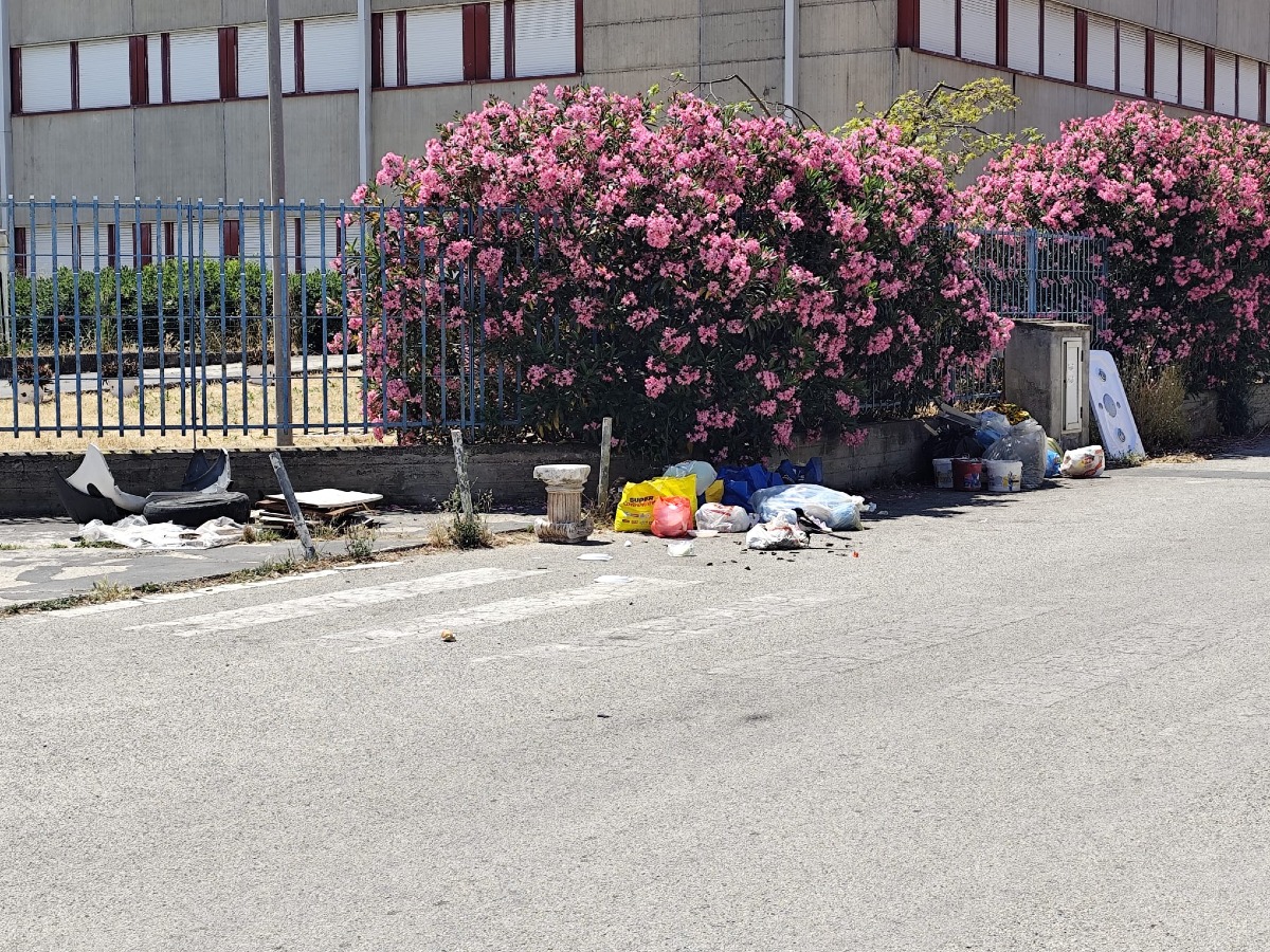 Ondata di rifiuti dopo la pulizia dei volontari  - 