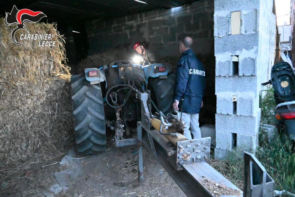 Mafia nel Nord Salento, blitz dei Carabinieri con 30 arresti - 