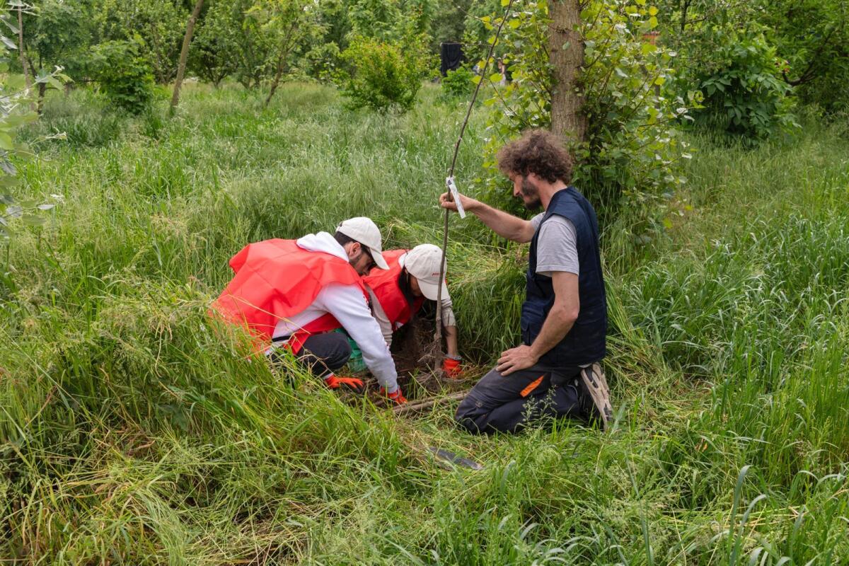 Ambiente, il Progetto Boschi di E.ON supera i 150.000 alberi piantati - 