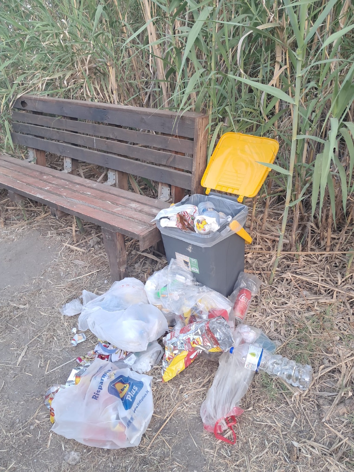 Servono cestini per le baie del Lungomare  - 