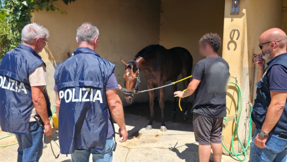 Corse clandestine di cavalli, 9 persone denunciate - 