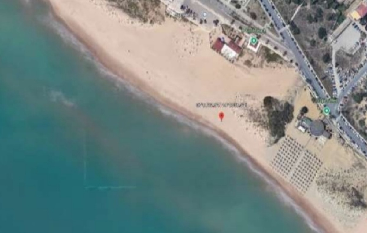 Nido di tartaruga Caretta Caretta nei pressi del Bcool  - 