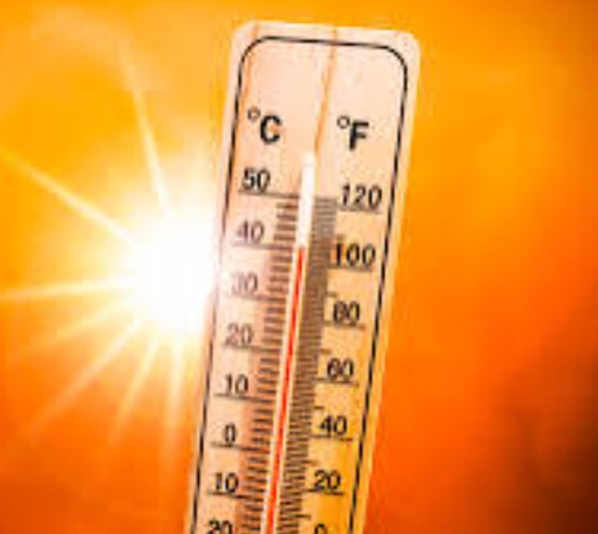 Ondata di calore e rischio incendi  - 