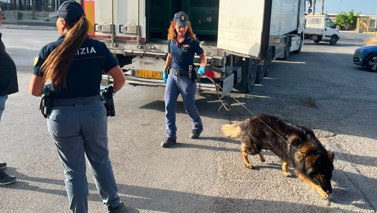 Mercato ortofrutticolo controllato da cima a fondo - 