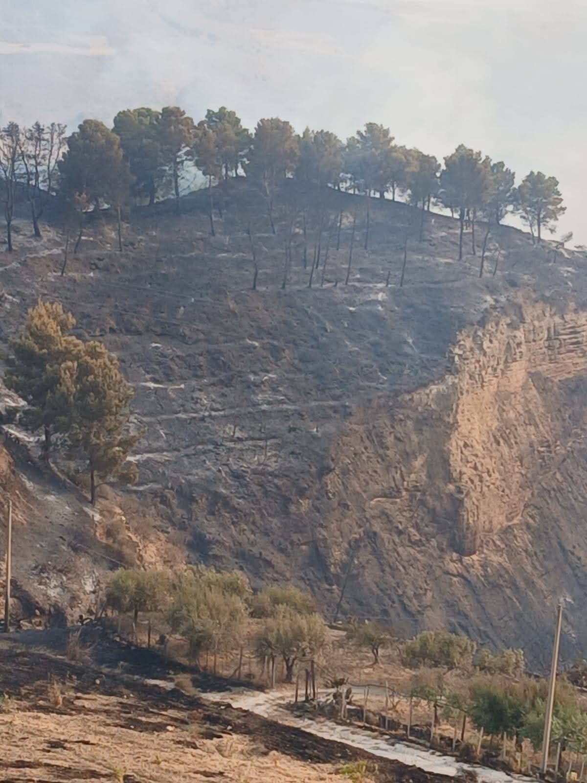 Vasto incendio in corso a Butera - 