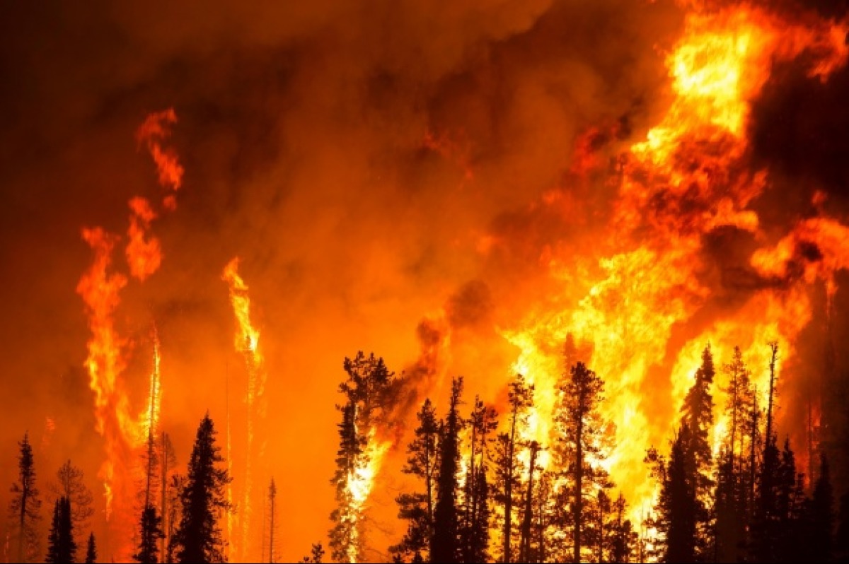 Emergenza incendi Sicilia: i nuovi dati di Legambiente 