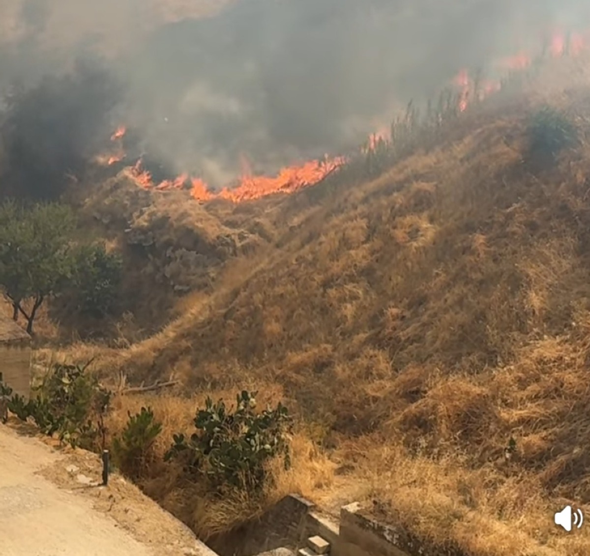Zuccalà:"su incendi correttivi di legge e più controlli"