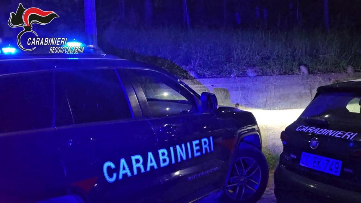 ‘Ndrangheta, maxi blitz antidroga in tutta Italia con 35 arresti - 