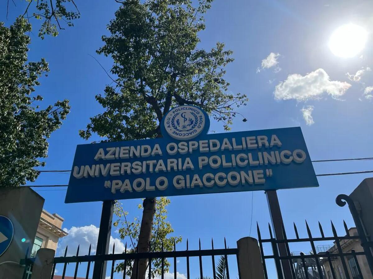 Al Policlinico di Palermo l’Intelligenza Artificiale scrive le lettere di dimissione post ricovero - 