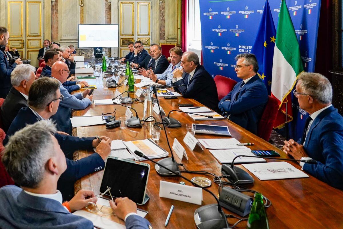 Agroalimentare, Lollobrigida “Controlli e risorse a tutela del grano italiano” - 