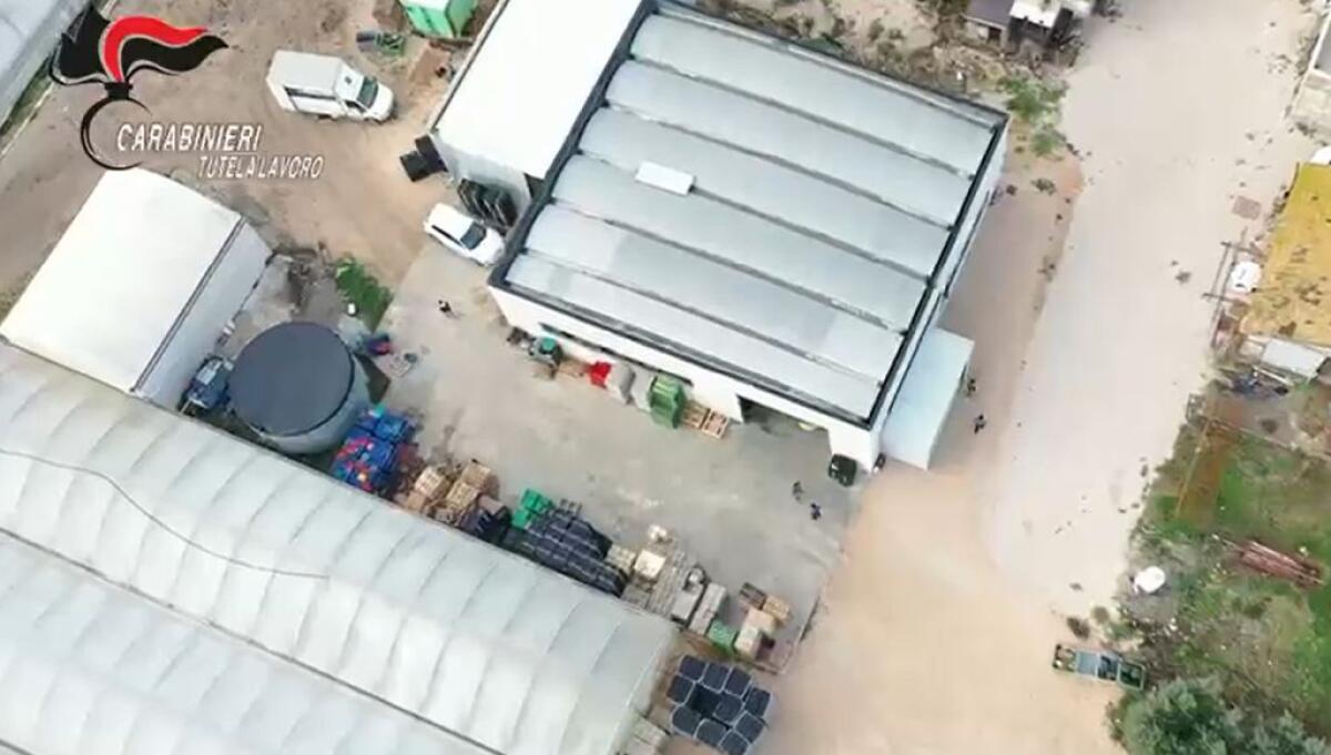Maxi operazione contro l’immigrazione clandestina, 22 misure cautelari - 
