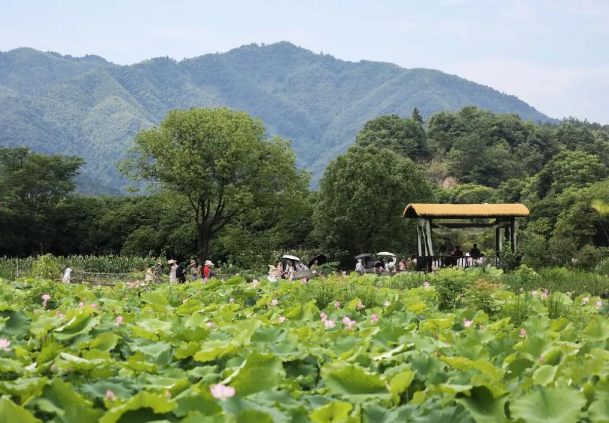 Cina, buoni di consumo per 450 mln di yuan a favore del turismo estivo - 