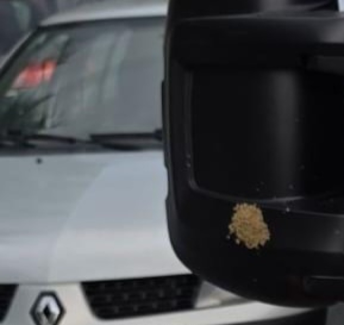 Palle di sabbia contro i passanti, interviene la polizia  - 