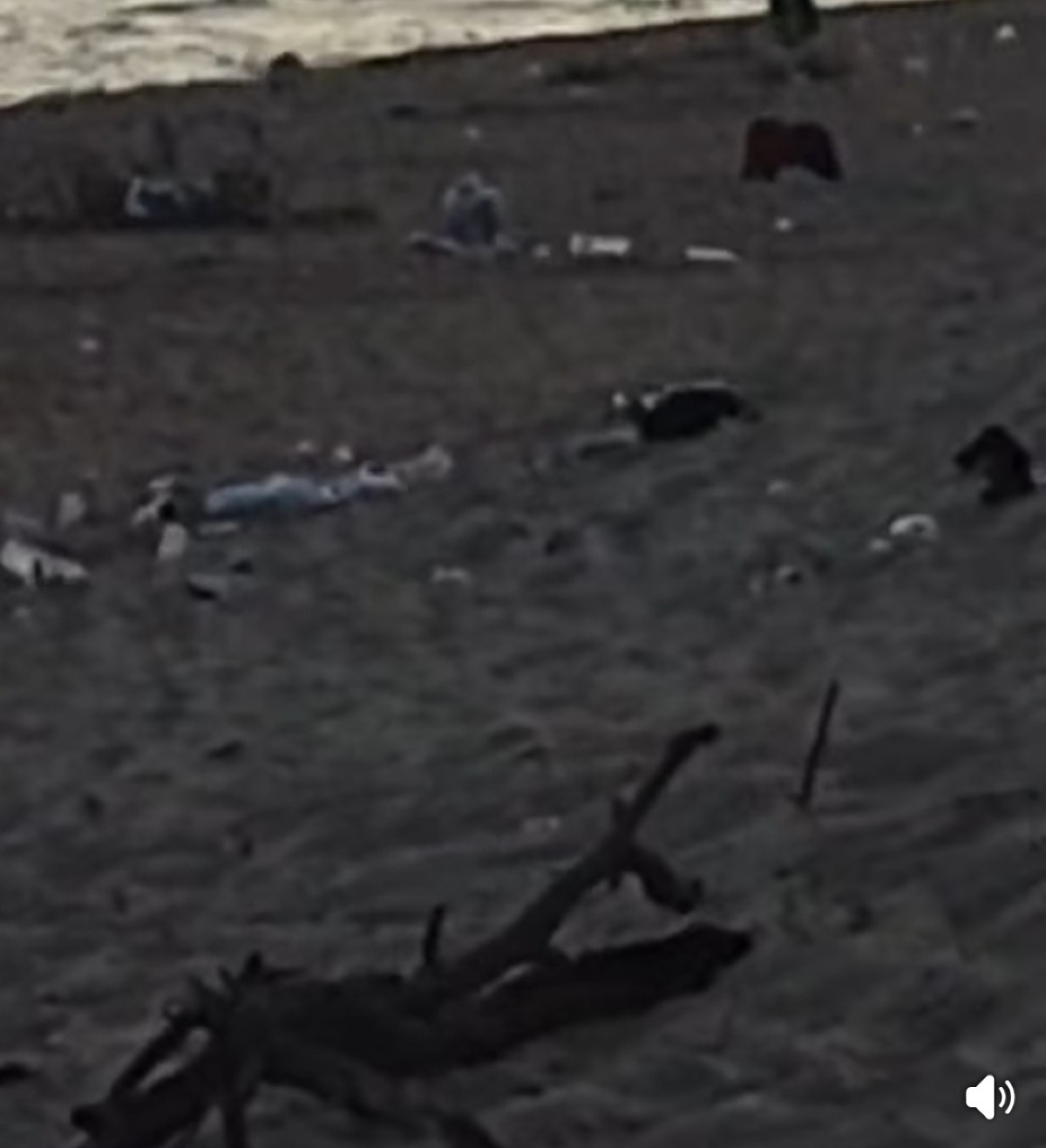 Disattesa ordinanza di Ferragosto  del sindaco  - 
