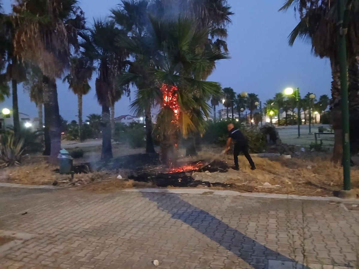 Incendio a Cantina Sociale interviene la  polizia municipale - 
