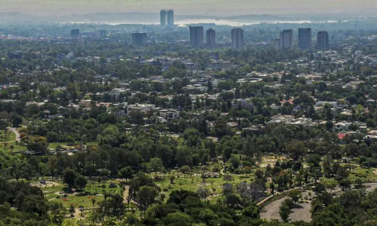 Incendio in un ospedale a Islamabad in Pakistan, morti 14 neonati - 