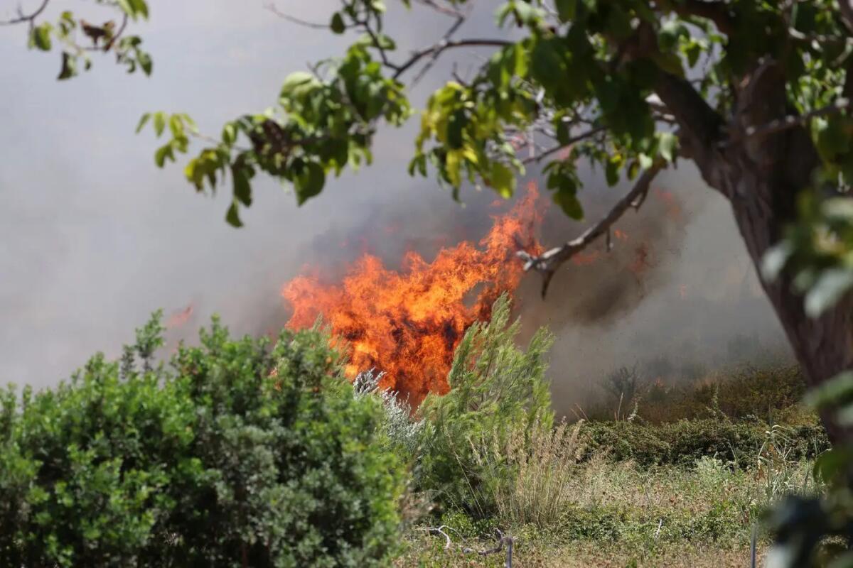 Sicilia nella morsa degli incendi, la Giunta dichiara lo stato di emergenza regionale - 