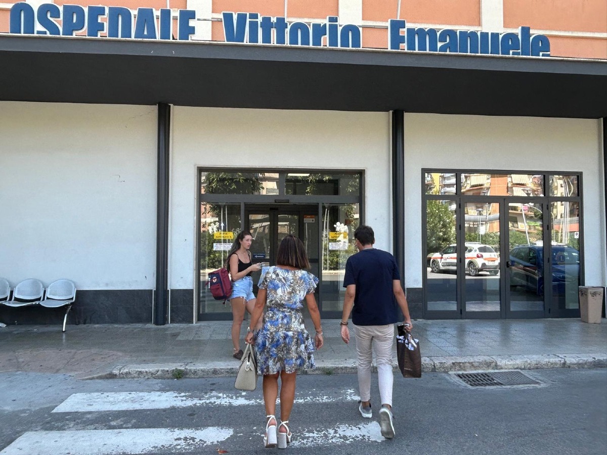 L'on.De Micheli sulla sanità: "la Regione agisca subito"  - 