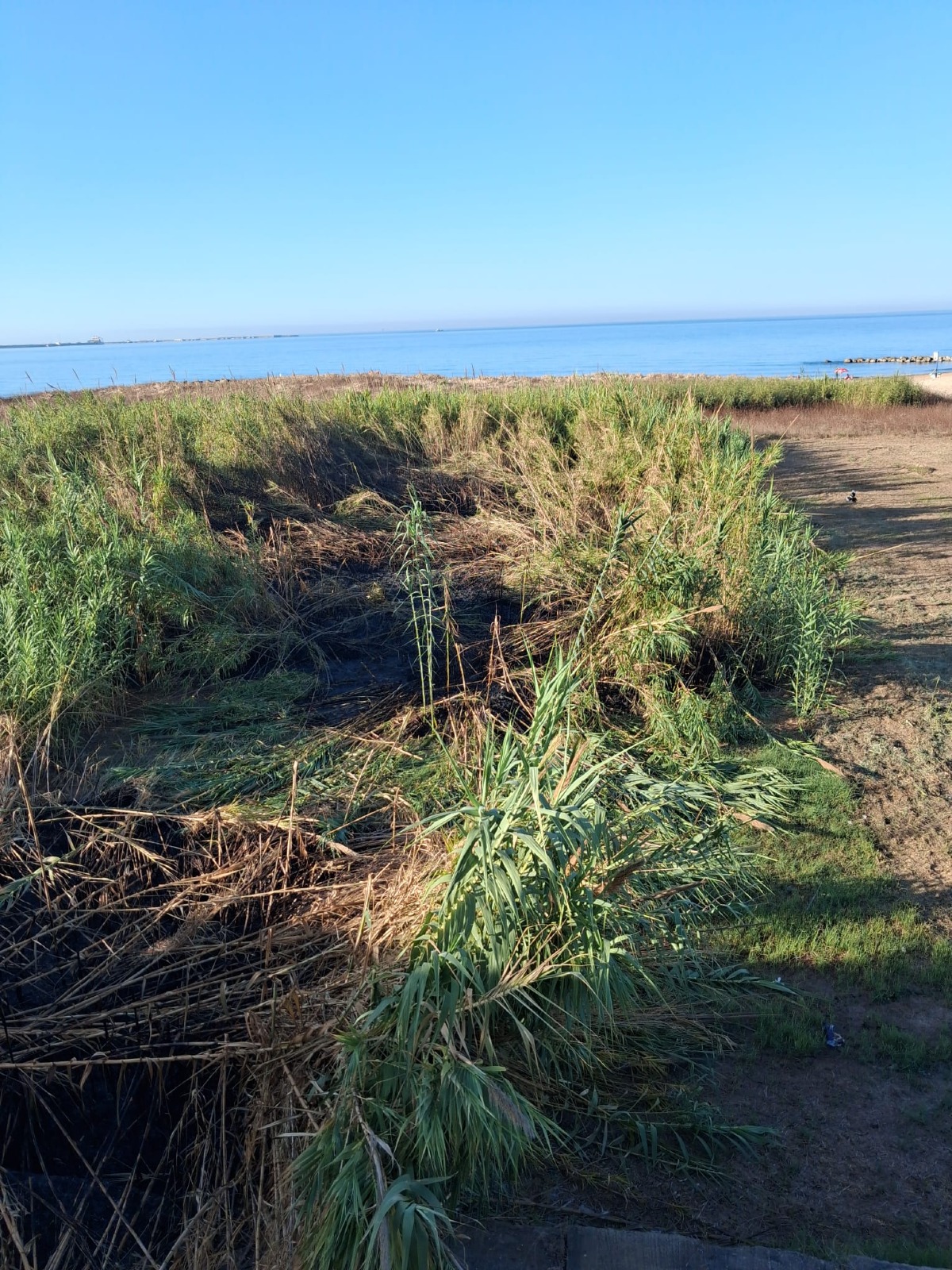 Ancora fiamme nella zona delle baie del Lungomare 