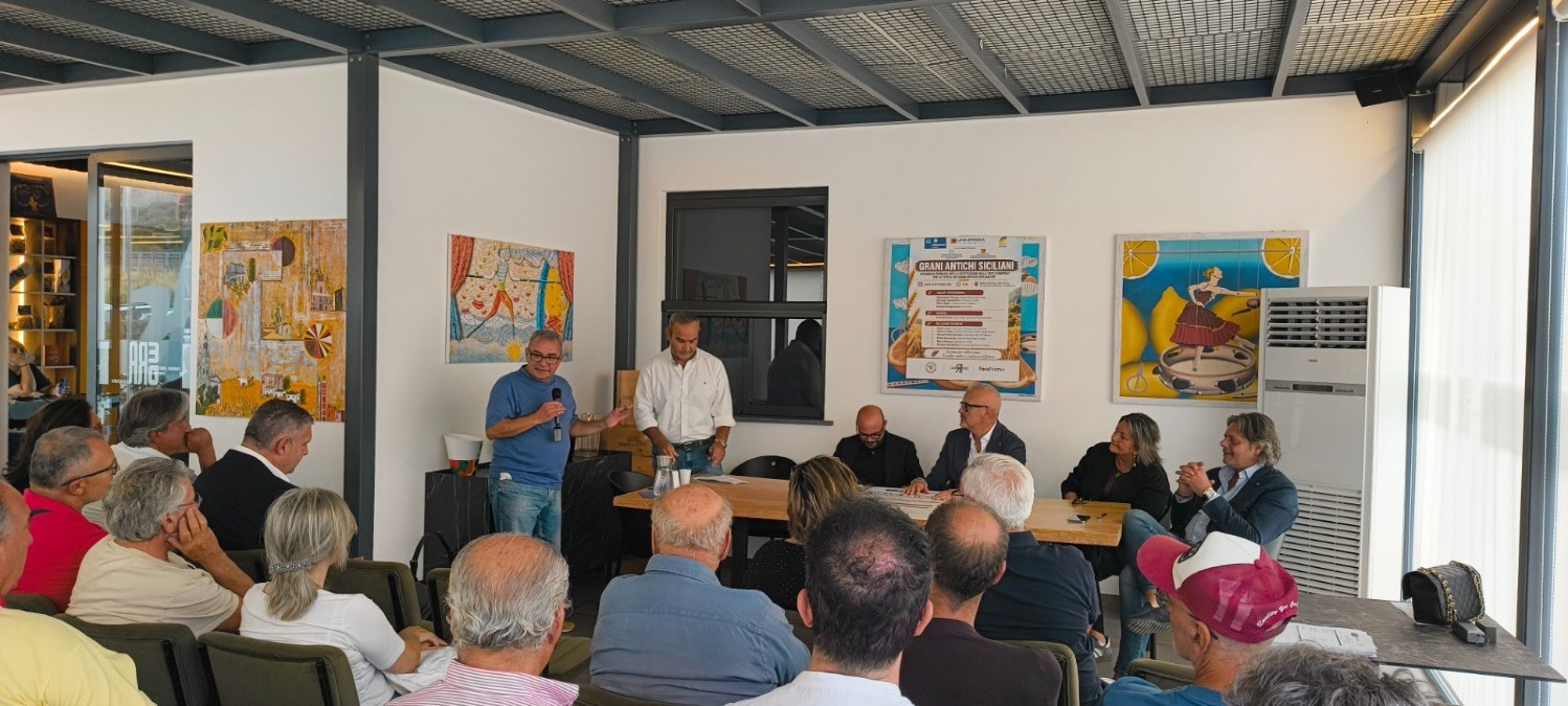 Grani Antichi Siciliani, nasce la Rete per l'IGP - 