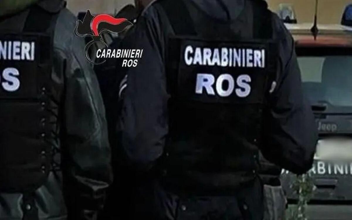 Droga dal Brasile all’Italia, blitz contro la mafia e il narcotraffico - 