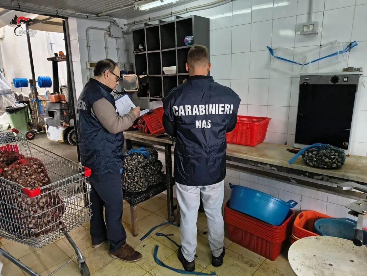 Controlli dei NAS a Palermo, chiuse tre pescherie e sanzioni per 34 mila euro - 