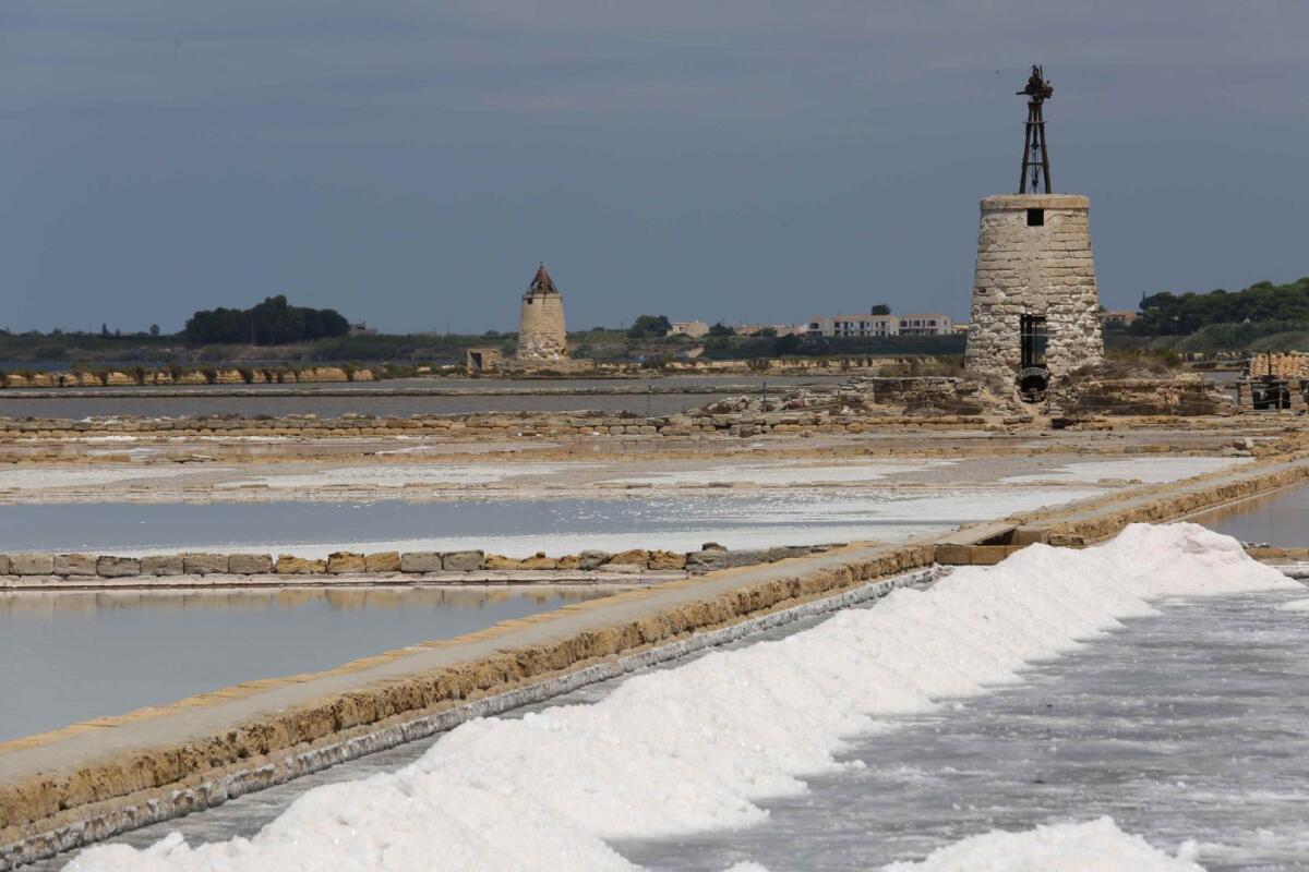 Le Saline di Sicilia verso il riconoscimento a Riserva della Biosfera MaB Unesco - 