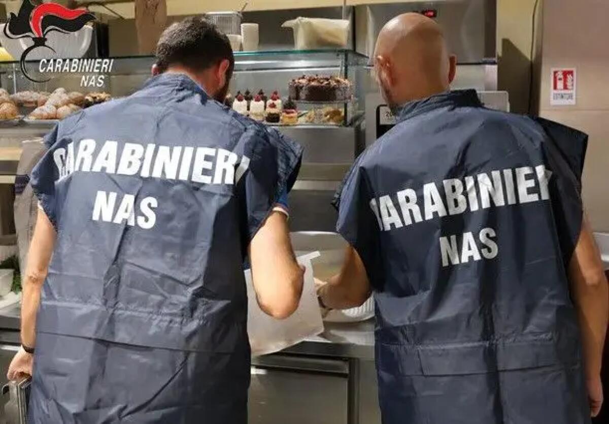 Blatte e carenze igienico-sanitarie, chiuso un bar-pasticceria a Catania - 