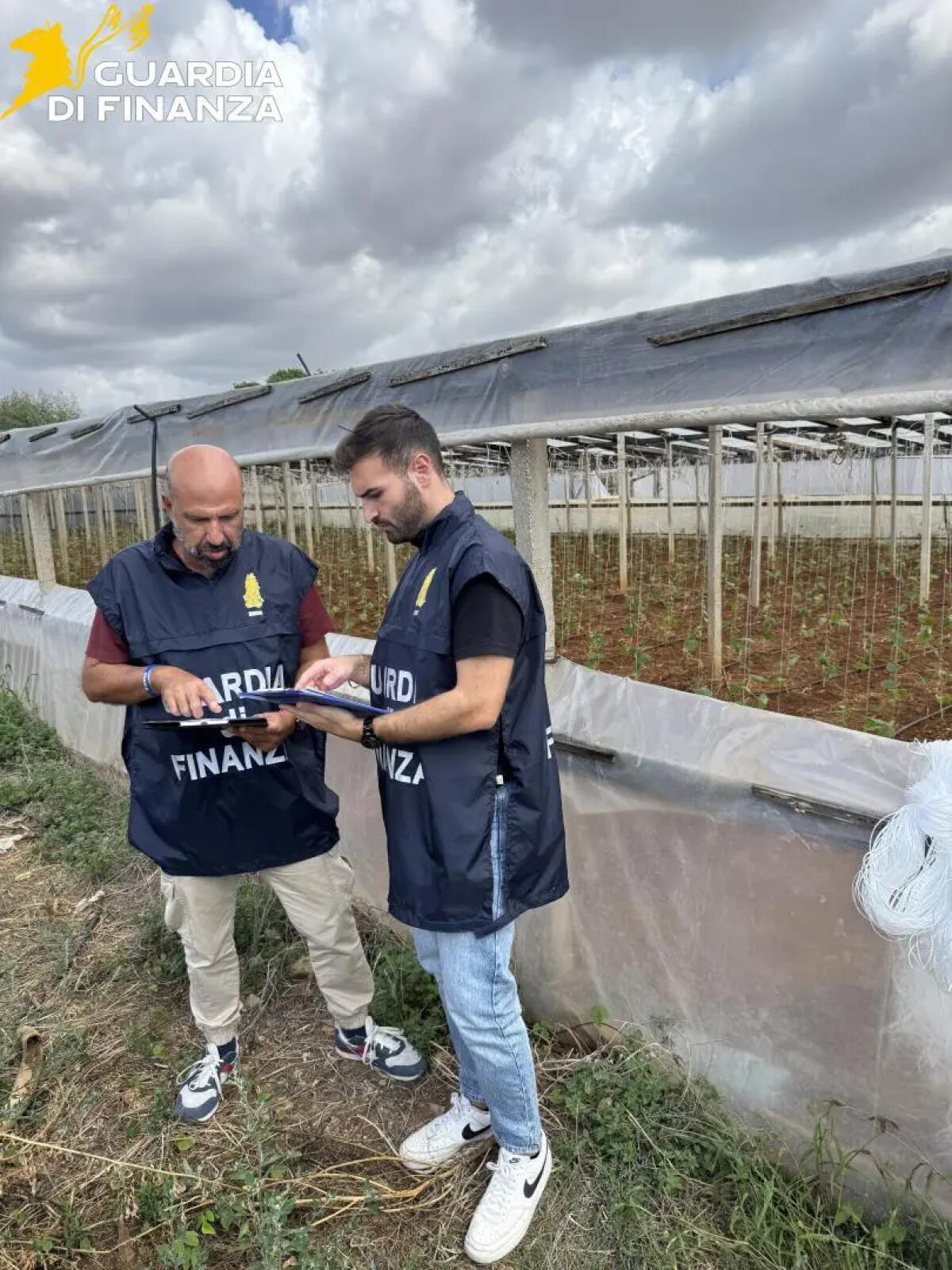 Lavoro in nero nei campi del Trapanese, scoperti 19 irregolari in tre aziende agricole - 