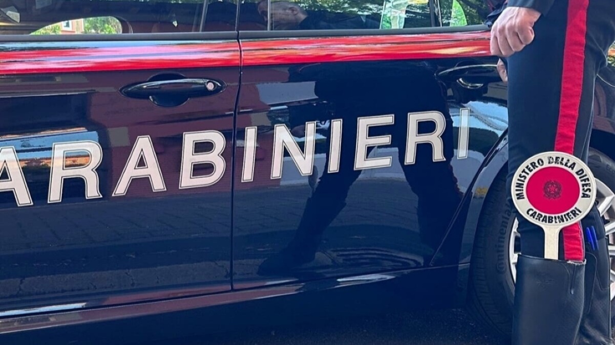 Ritrovati mezzi rubati in un'azienda agricola  - 