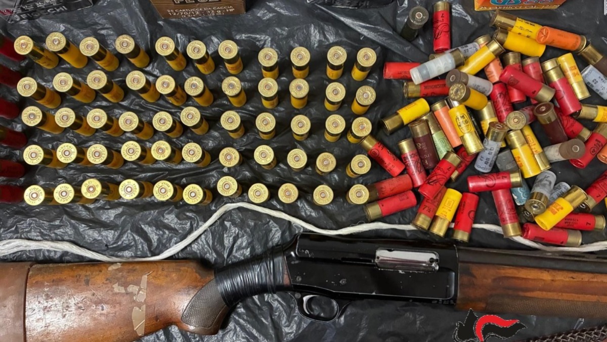 Piantagione di marijuana tra i filari e fucile abusivo in casa: denunciato 72enne - 