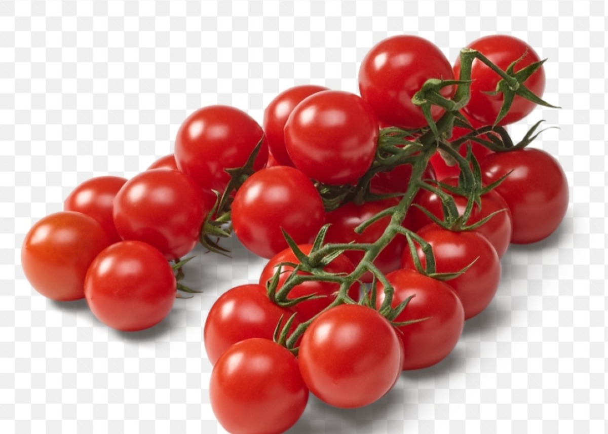 Patto per il pomodorino sicuro contro il rischio salmonella - 
