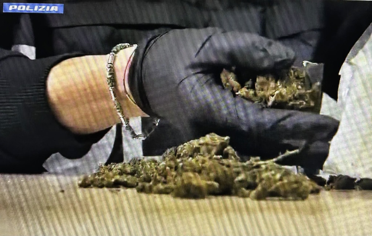 Droga: arresti e denunce  - 