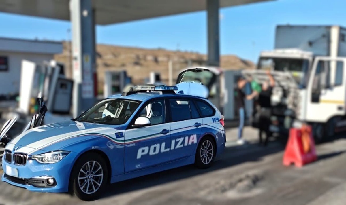 Cavalli trasportati su un camion per fiori: maxisanzione e sequestro  - 