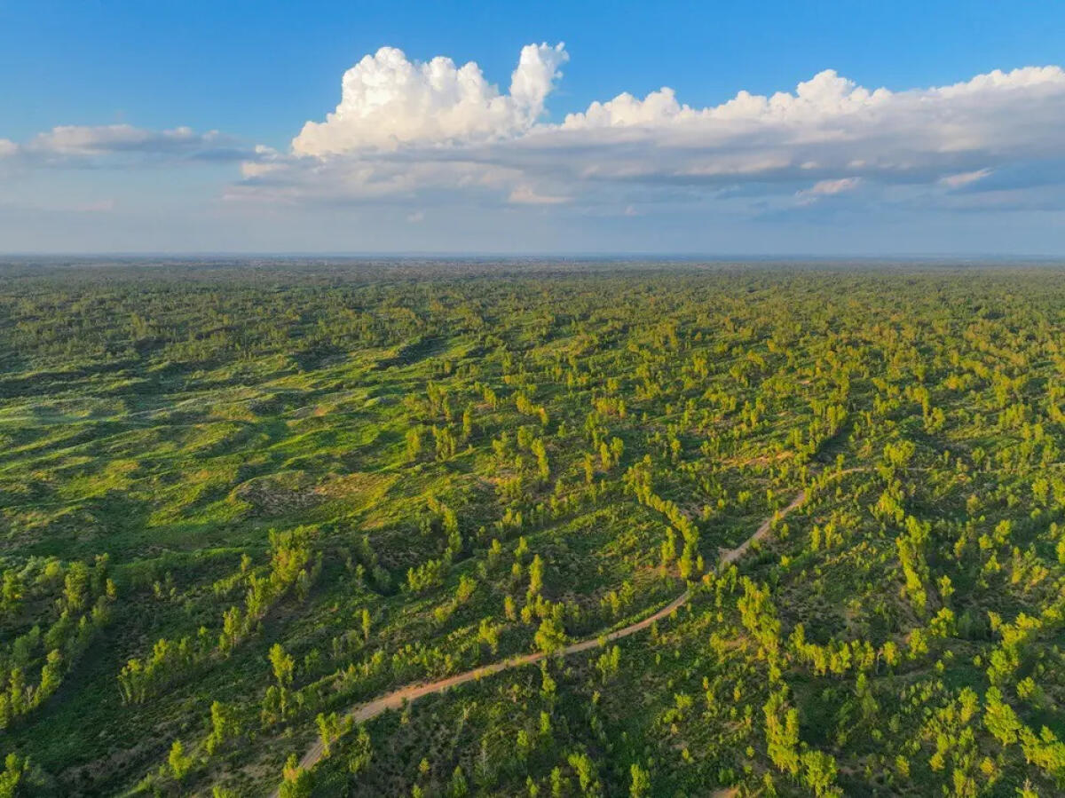 Dal deserto cinese di Mu Us al mondo, la storia della “guerriera della sabbia” - 