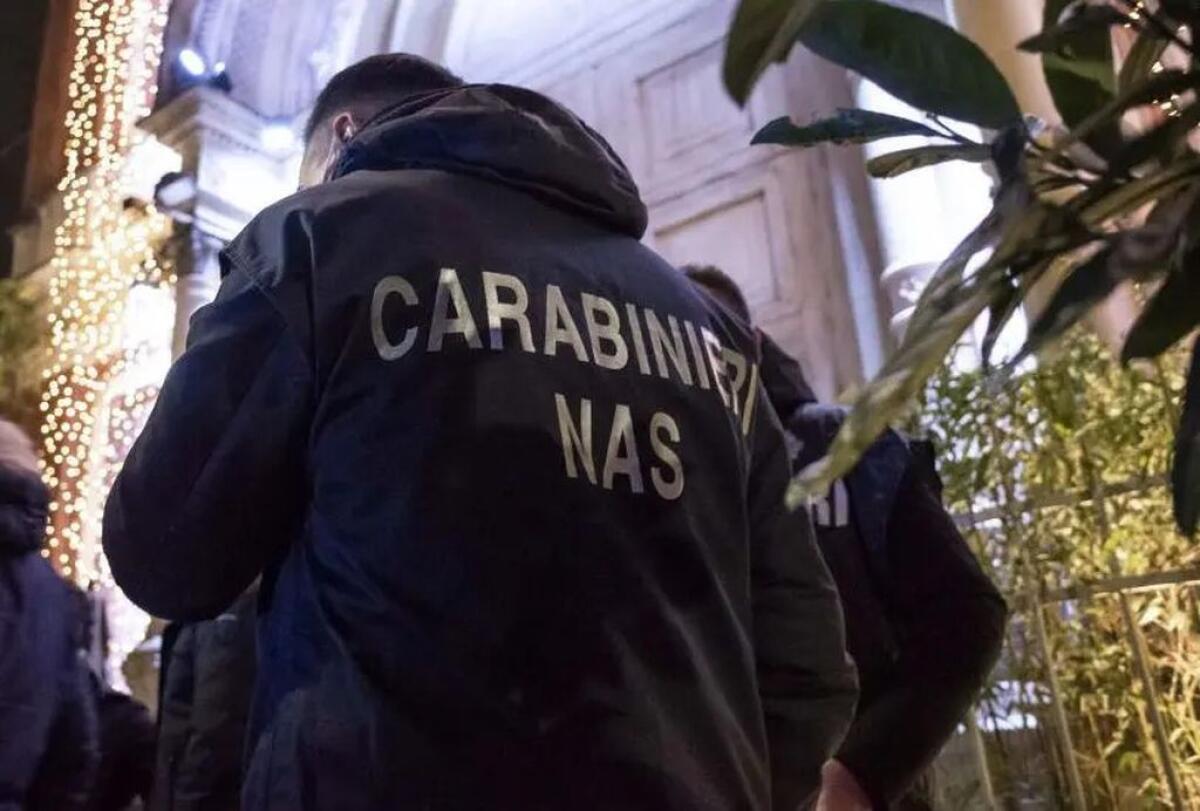 Violenze e abusi su anziane in Rsa nel Milanese, interdetti 3 operatori - 