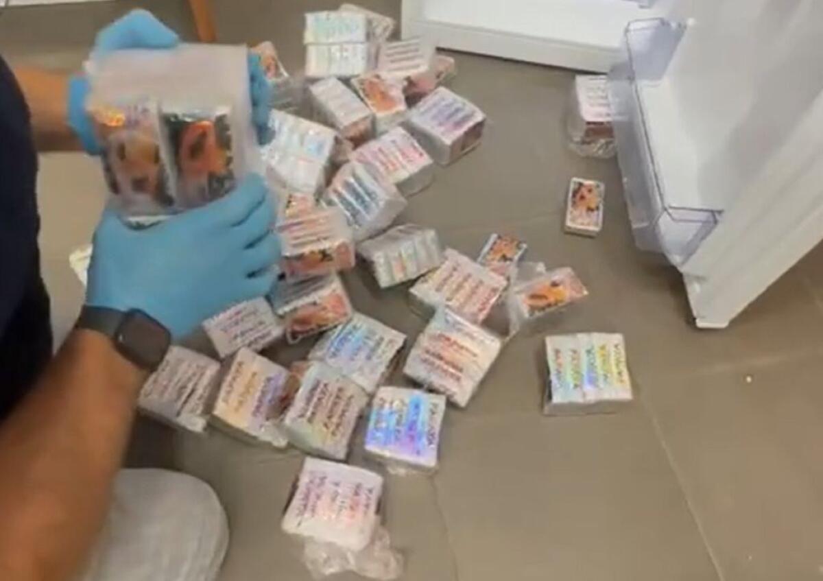 Venti chili di hashish nascosti in confezioni di papaya, un arresto a Cagliari - 