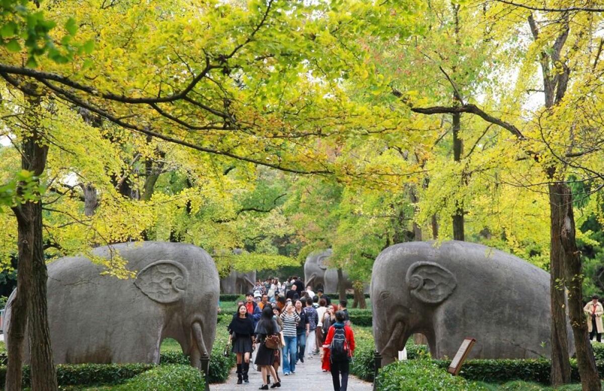 Cina, cresce il mercato interno del turismo - 