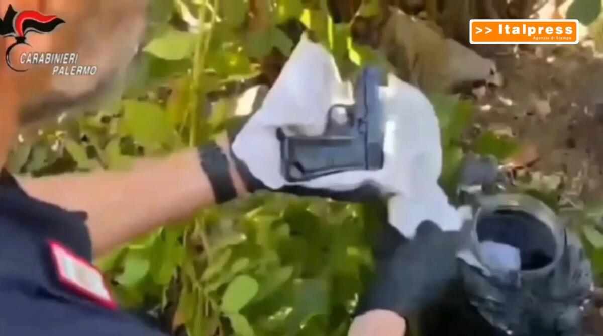 Droga e armi tra le piante nel Palermitano, il fiuto del cane “Vera” incastra un 50enne / Video - 
